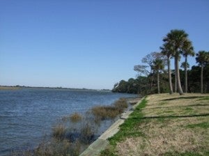 Coastal Florida Coastal ...